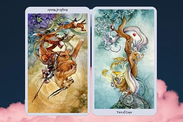 Leo love today - Knight of Wands reversed | 2 of Cups (8202020)