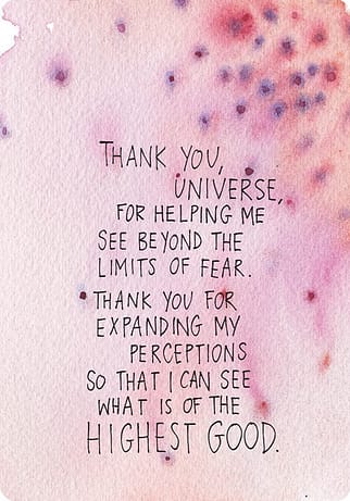 Thank you, universe for...