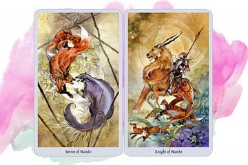 7 of Wands | Knight of Wands