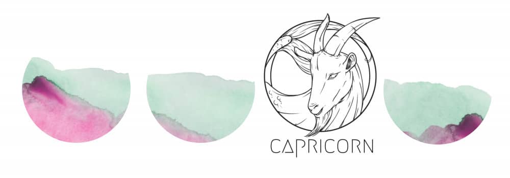 Capricorn banner
